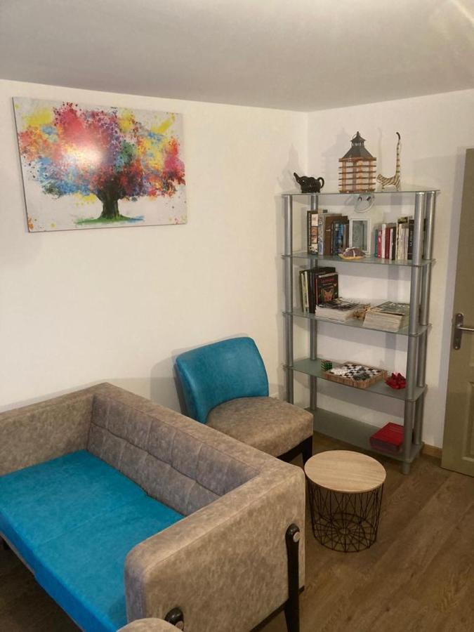 Appartement Plein Pied 45 M2 Baccarat Bagian luar foto